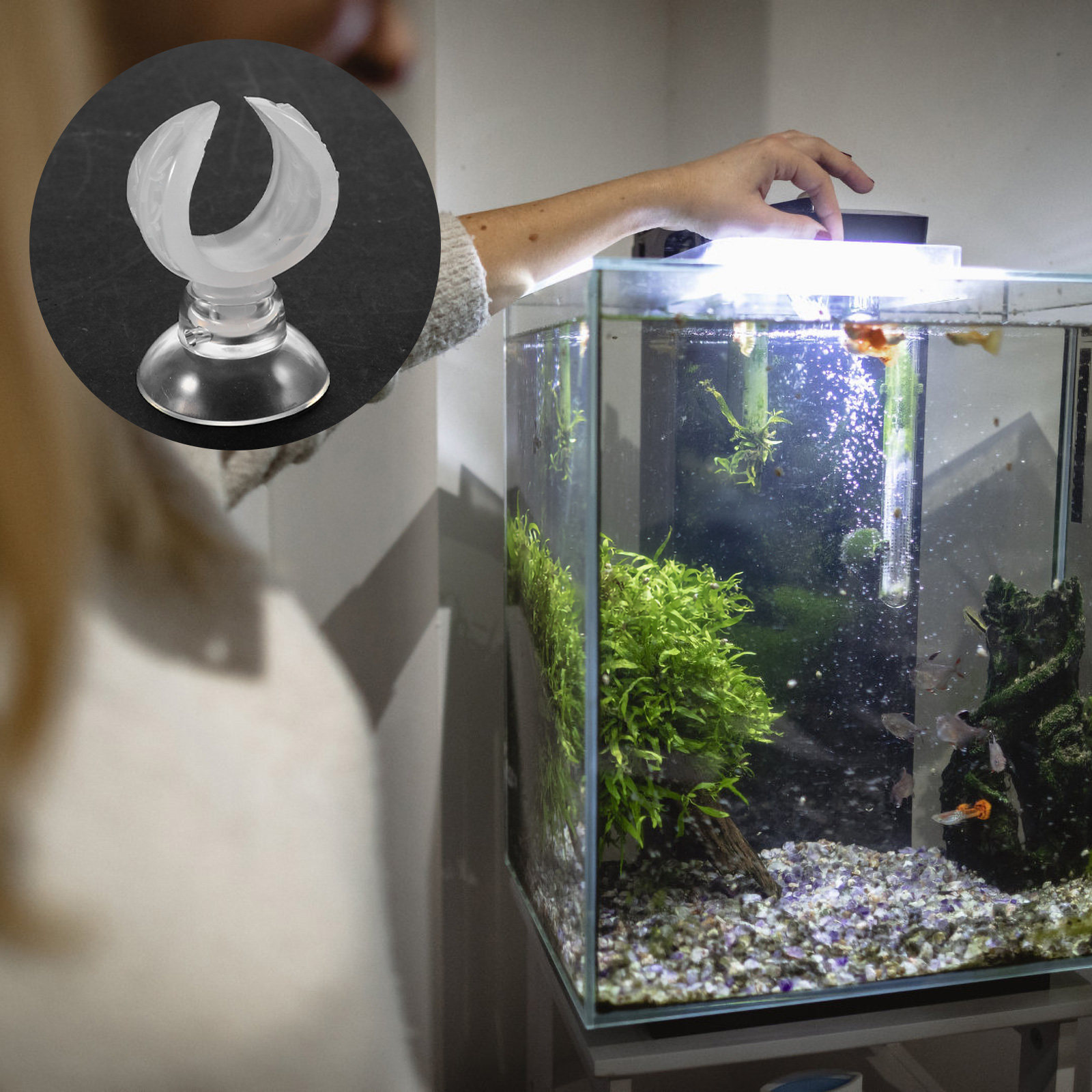 4Pcs Clear Plastic Aquarium Su - Woodworking On Youtube ulasan dan harga