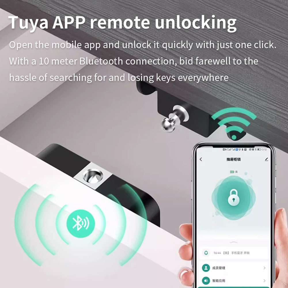 Tuya Hidden Cabinet Lock RFID  - Woodworking Box ulasan dan harga